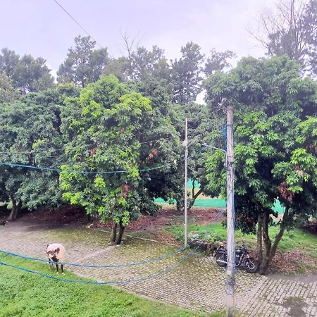 Nature View Homestay Dehradun Exterior photo