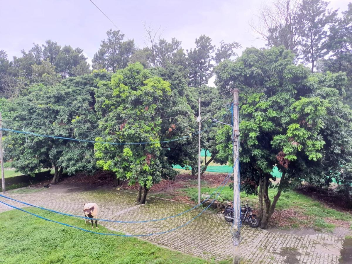 Nature View Homestay Dehradun Exterior photo